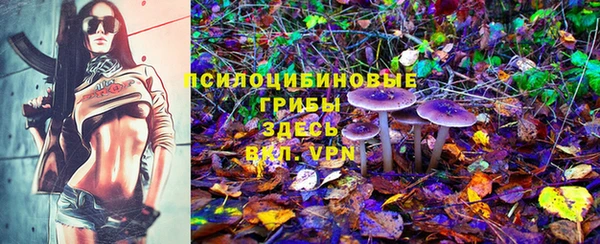 герыч Алексин