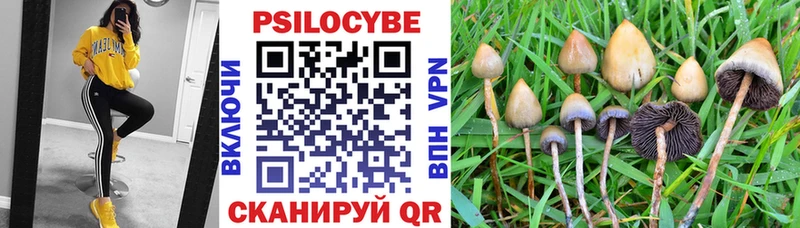 Псилоцибиновые грибы Magic Shrooms  купить   площадка состав  Красновишерск 
